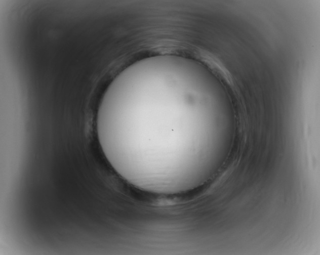 X0000099450073200805090736