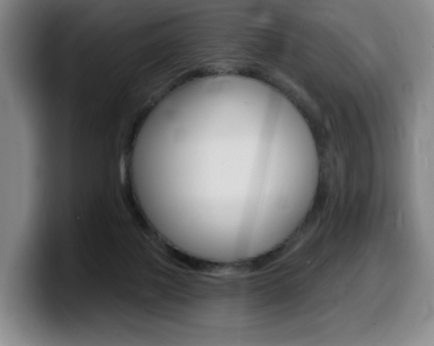 X0000099450075200805090736