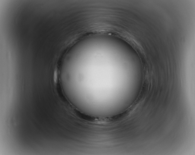 X0000099450076200805090736
