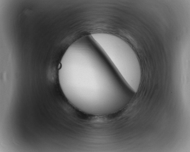 X0000099450077200805090736