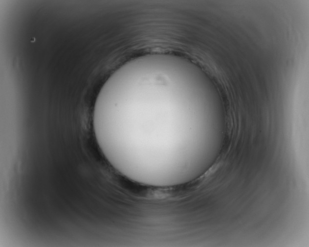 X0000099450078200805090736