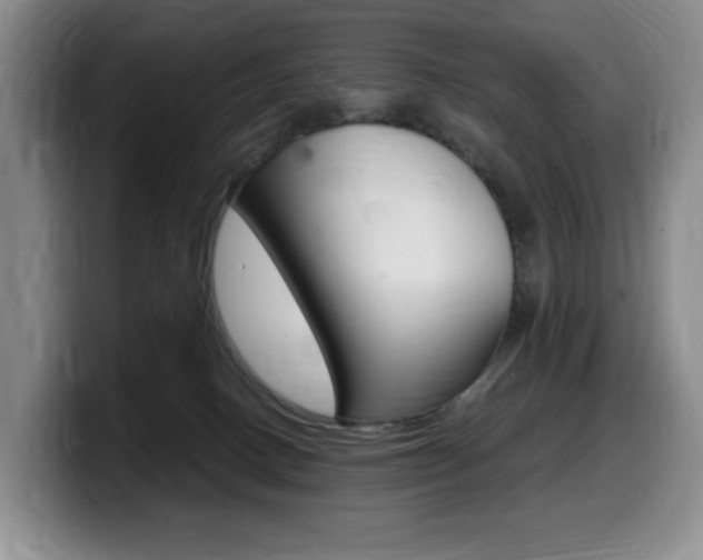 X0000099450082200805090736