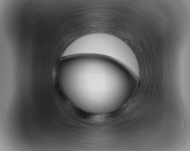X0000099450084200805090736