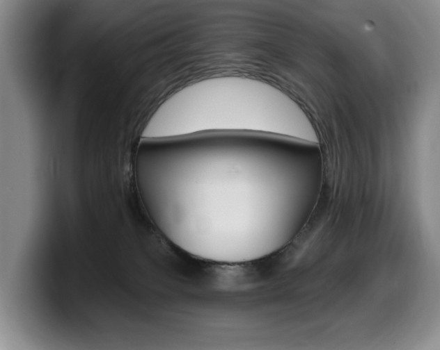 X0000099450085200805090736