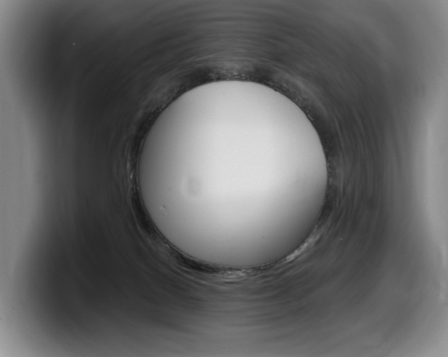 X0000099450086200805090736
