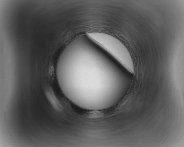 X0000099450087200805090736