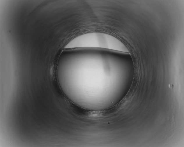 X0000099450088200805090736