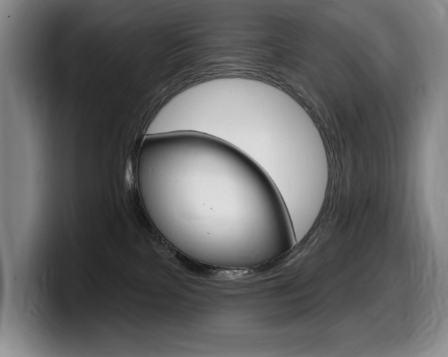 X0000099450089200805090736