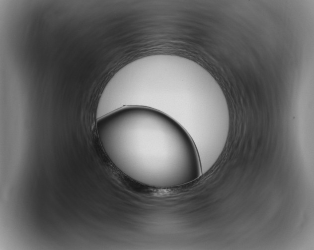 X0000099450091200805090736