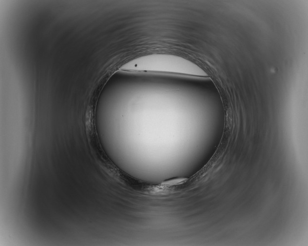X0000099450092200805090736