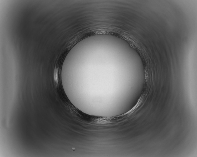 X0000099450094200805090736