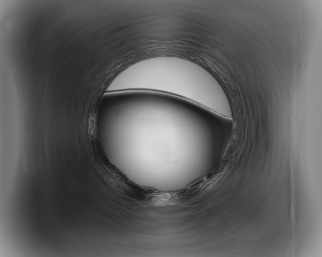 X0000099450096200805090736