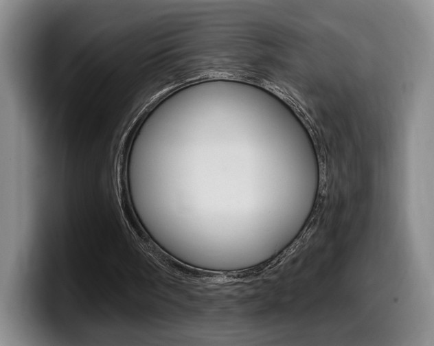 X0000099450098200805090735
