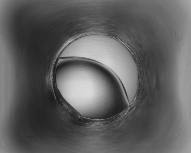 X0000099450100200805090735