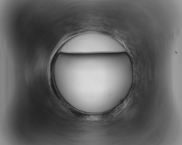 X0000099450102200805090735