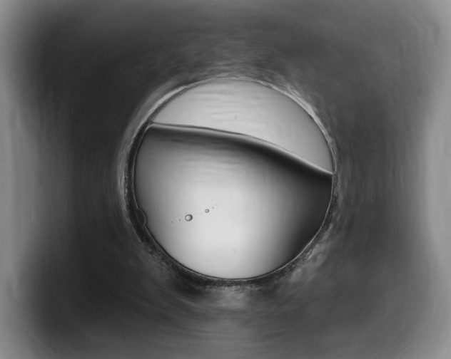 X0000099450103200805090735
