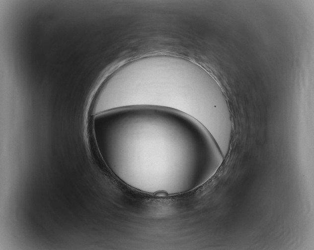 X0000099450104200805090735