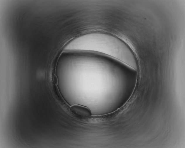 X0000099450105200805090735