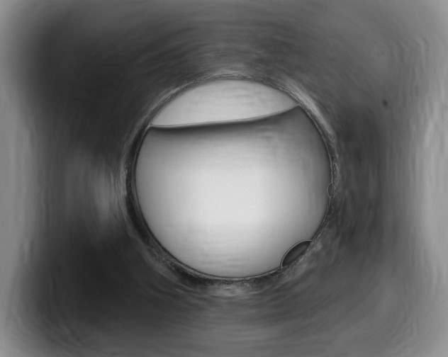 X0000099450106200805090735