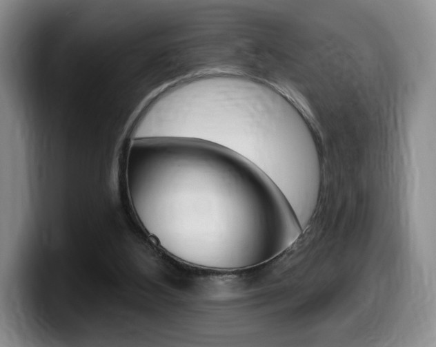 X0000099450108200805090735