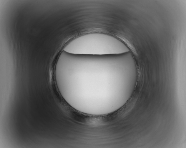 X0000099450110200805090735