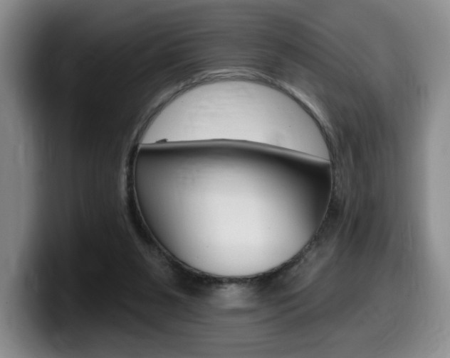 X0000099450111200805090735
