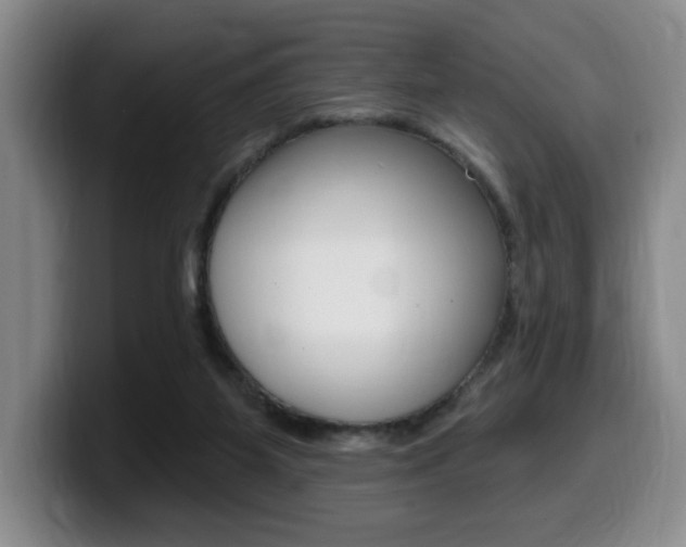X0000099450115200805090735