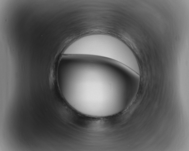 X0000099450116200805090735