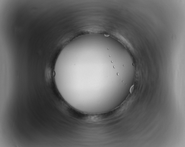 X0000099450117200805090735