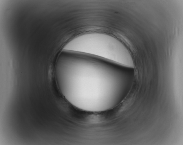 X0000099450119200805090735