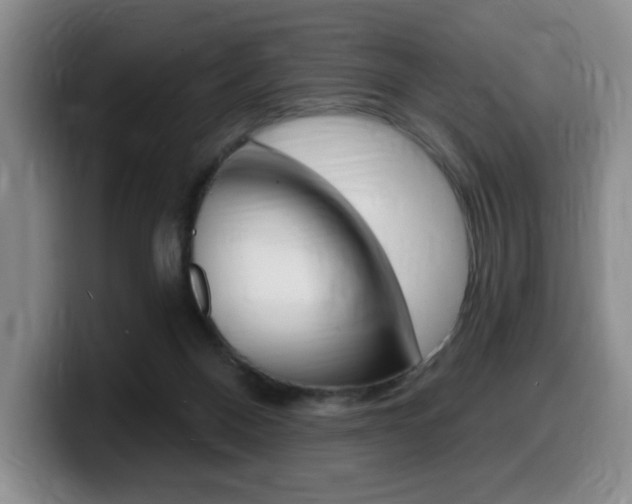 X0000099450120200805090735