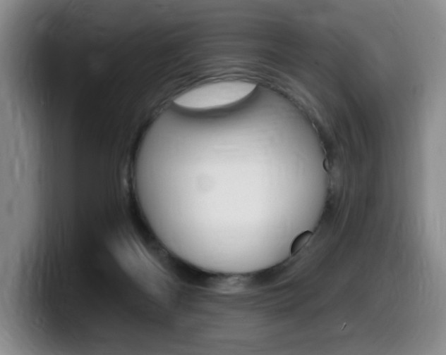 X0000099450122200805090735