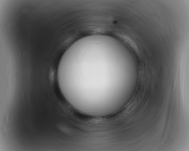 X0000099450123200805090735