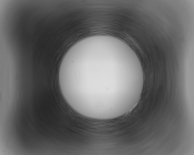 X0000099450124200805090735