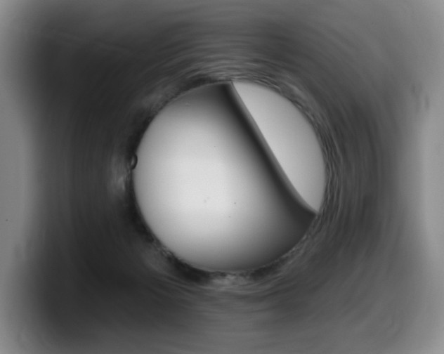 X0000099450125200805090735