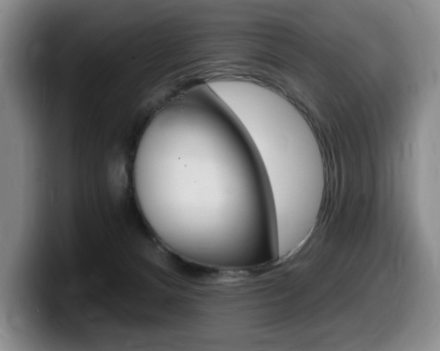 X0000099450128200805090735