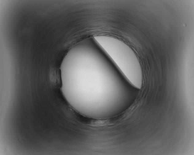 X0000099450129200805090735