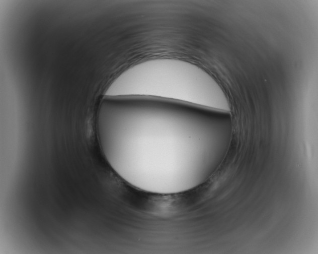 X0000099450131200805090735