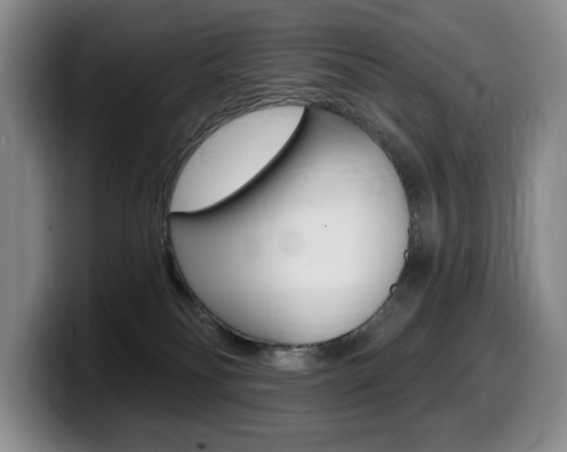 X0000099450134200805090735