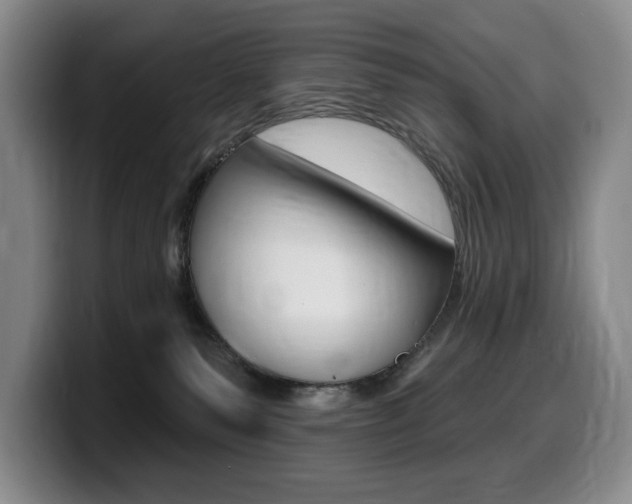 X0000099450135200805090735