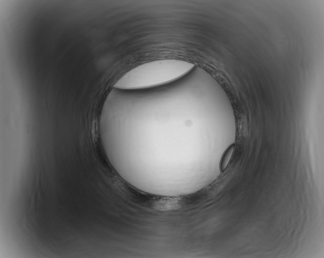 X0000099450138200805090735