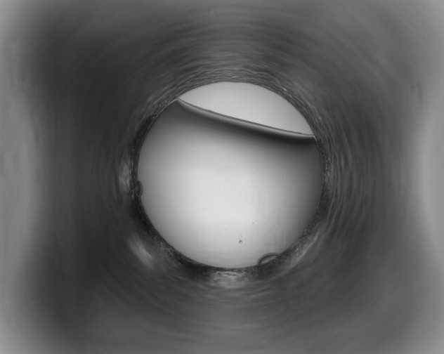 X0000099450139200805090735