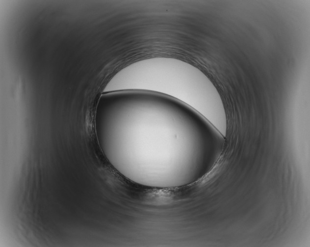 X0000099450140200805090735