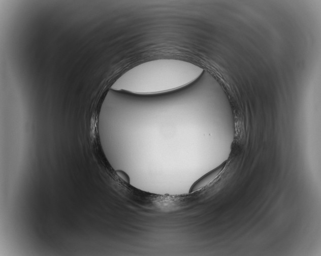 X0000099450142200805090735