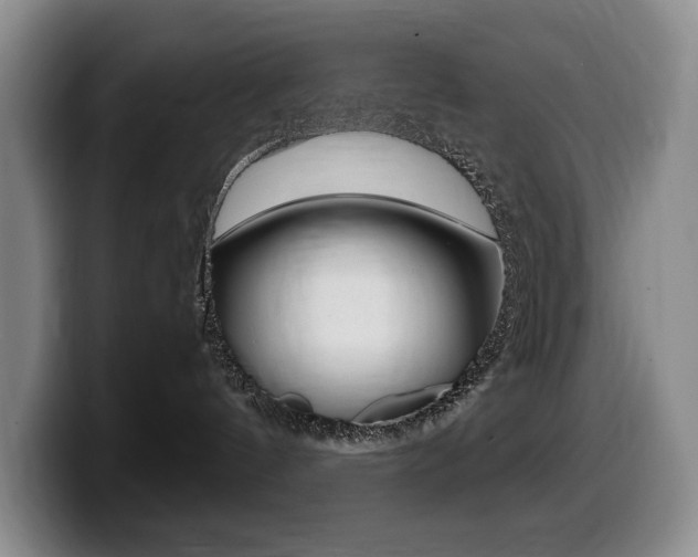 X0000099450144200805090735