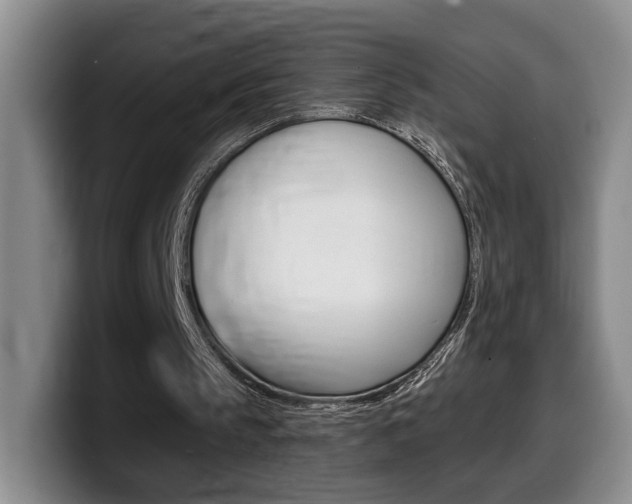 X0000099450145200805090734