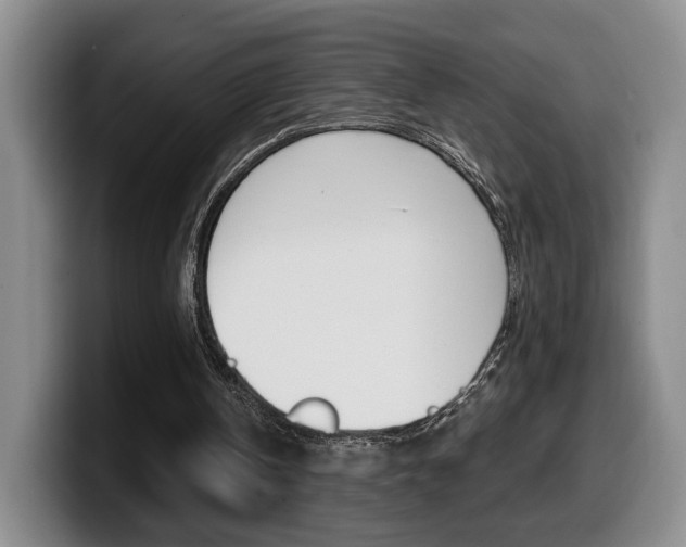 X0000099450146200805090734