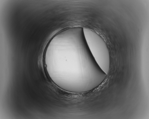 X0000099450147200805090734