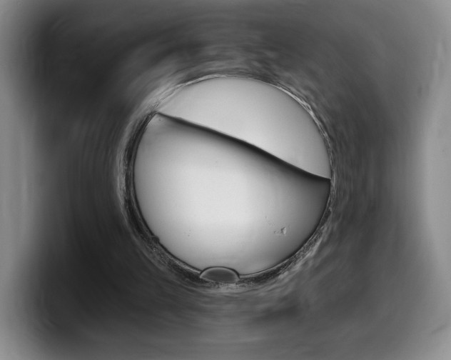 X0000099450149200805090734