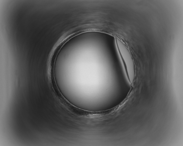 X0000099450150200805090734